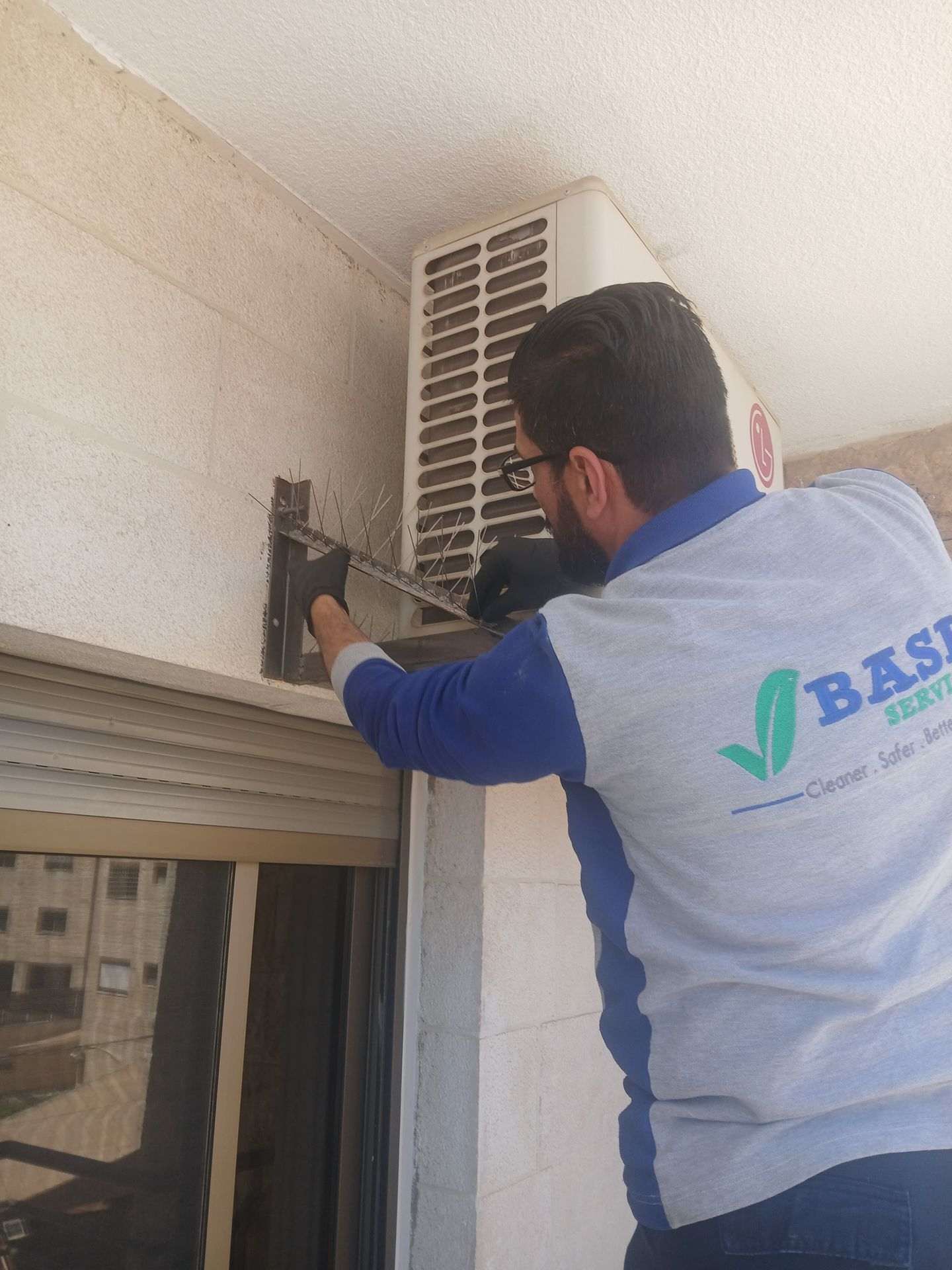 Bird Deterrent Spikes amman jordan