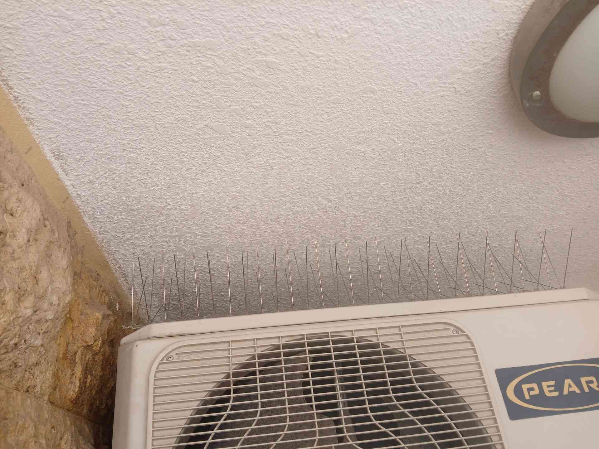 Bird repellent spikes amman jordan