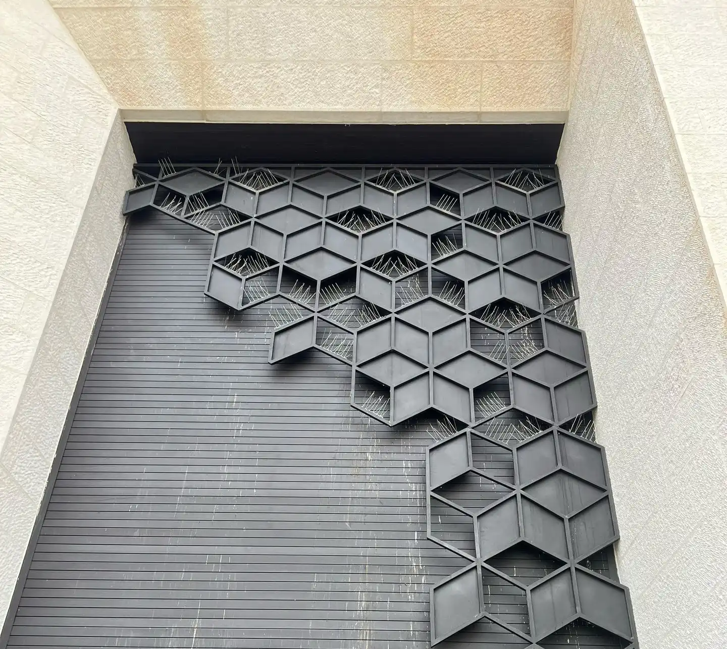 Bird repellent spikes amman jordan